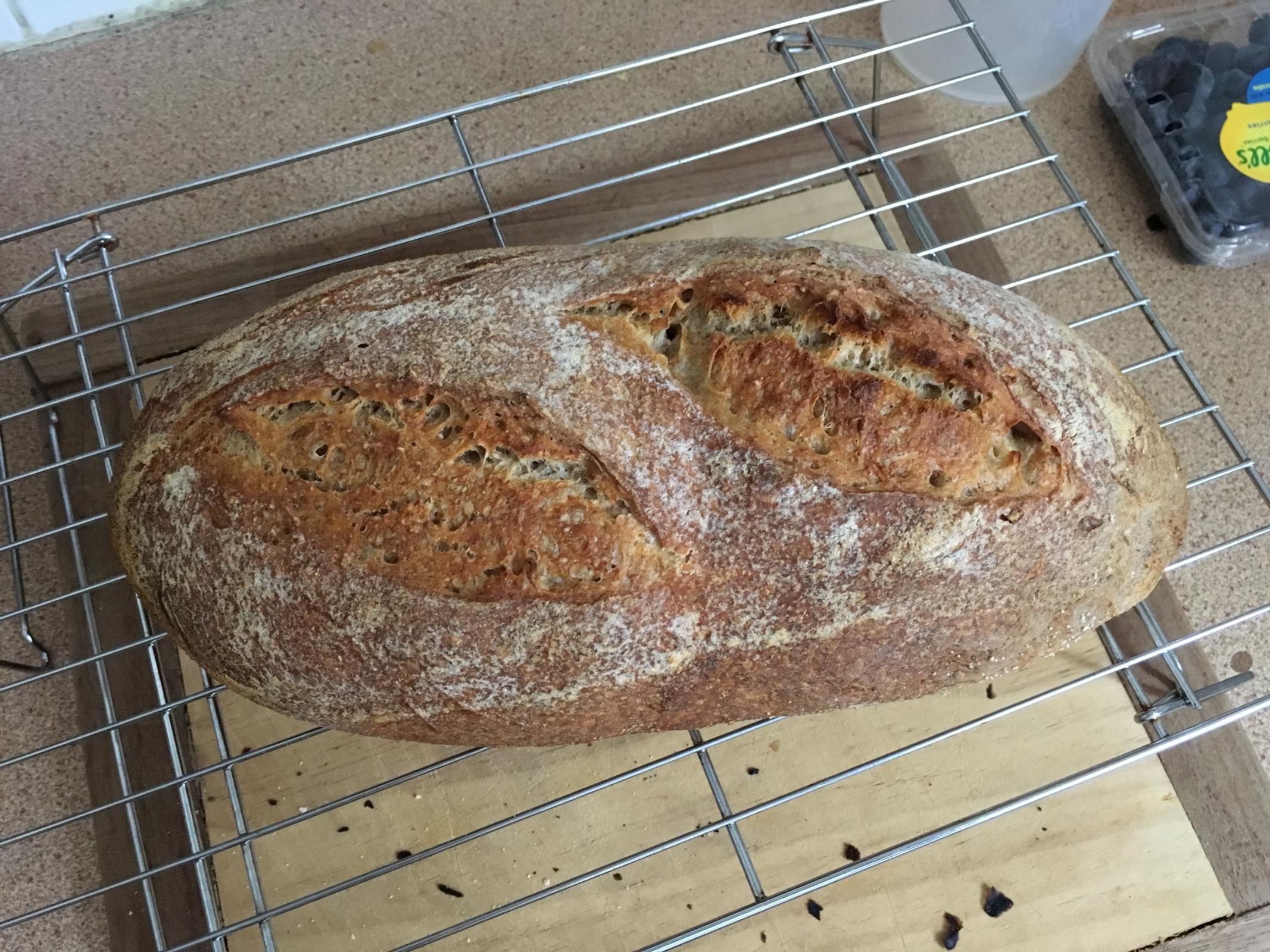 Bread and Butter Project sourdough and working on my bold bake The